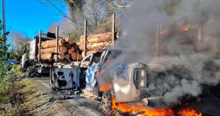 Cayó la cúpula del grupo radical Resistencia Mapuche Lafkenche en Chile