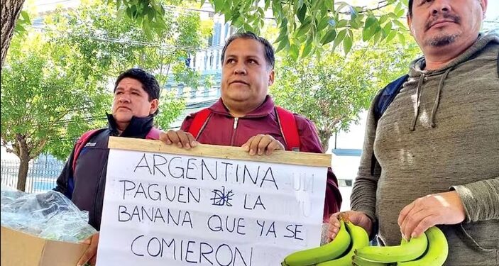 Paraguay y Bolivia suspenden exportación de bananas a Argentina por falta de pago